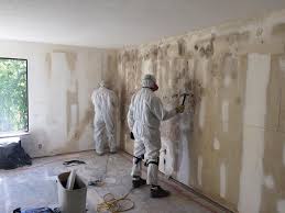 Environmental Consulting for Mold Prevention in Yuma, AZ